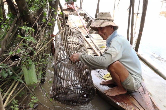 Hình ảnh đặt lờ tại Miền Tây